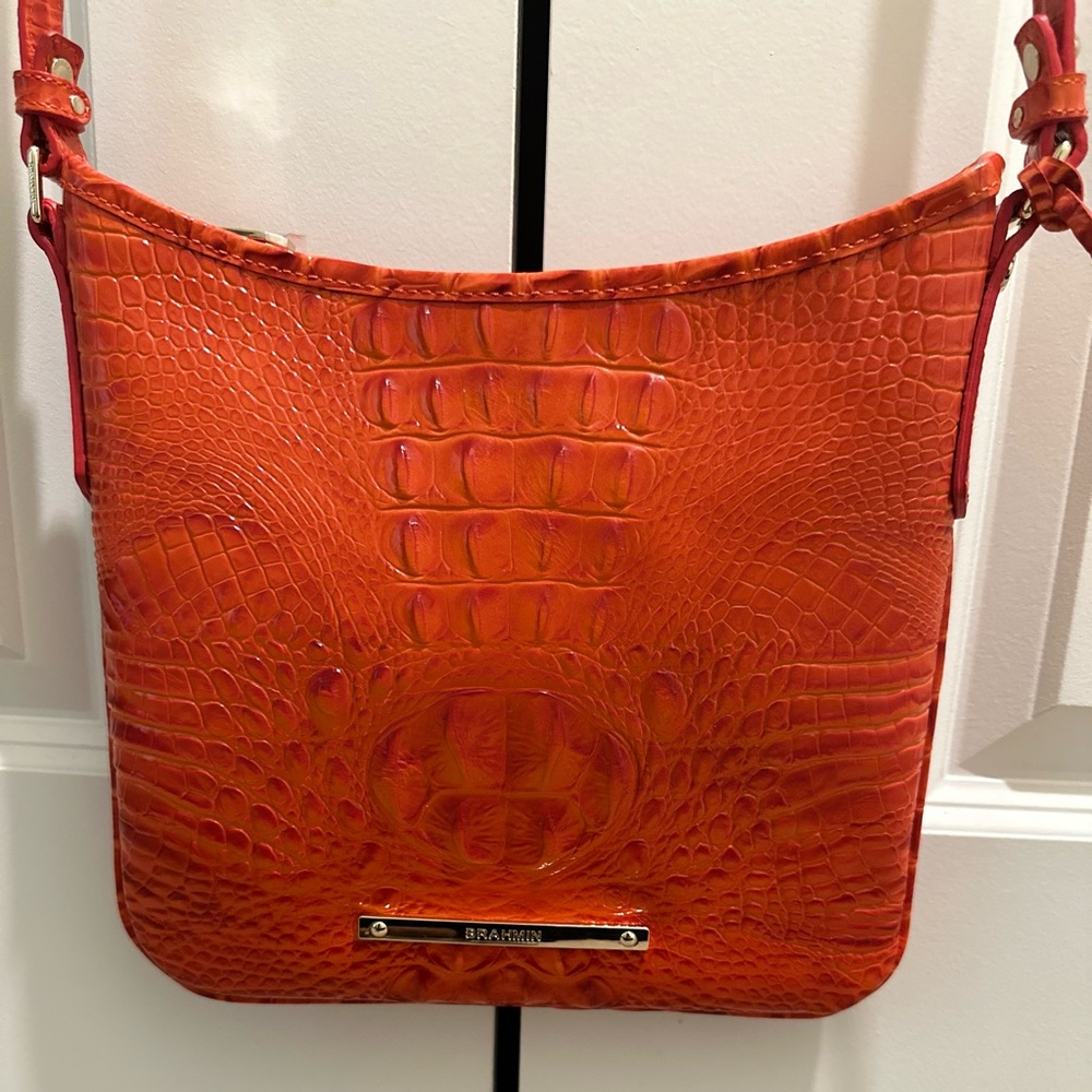 BRAHMIN Bag🤎